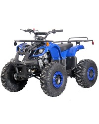 125cc Kids ATV RFP-Grizzly, Kids/Youth Size,19" Tire, Auto w/Reverse, Foot Brake