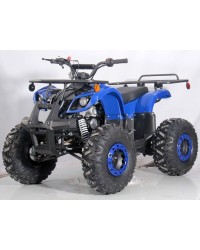 125cc Kids ATV RFP-Grizzly, Kids/Youth Size,19" Tire, Auto w/Reverse, Foot Brake