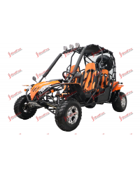 200cc Adult Gas Go-Kart 4 Seater DF GHA With Auto Tranny/Reverse Gear