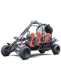 200cc Adult Gas Go-Kart 4 Seater DF GHD with Auto Tranny/Reverse Gear