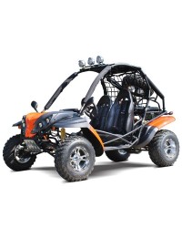 200cc DF GKR Fully Loaded Adult Gas Go-kart with Auto Tranny w/ Reverse