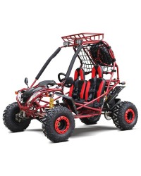200cc GSA Go Kart, Full Size for Adult and Big Kids, Auto with reverse, High Power Engine, Electric/Pull Start, Big Wheel, Spare Wheel 