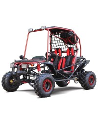 200cc GSX Go Kart, Full Size for Adult and Big Kids, Auto with Reverse, High Power Engine, Spare Wheel