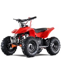 50cc Mini ATV Speed Star High Power Two-Stroke with Big Size 14.5 Inch Real Off Road Tire, front and rear coil suspension