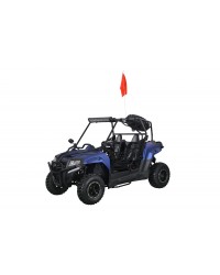 200cc DF Full Adult Gas UTV Go-Kart Side By Side With Auto Tranny W/ Reverse