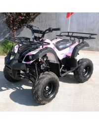 125cc Gas ATV Kids with Utility style rack, Automatic/w Reverse, 16inch Tire, Remote shut off switch