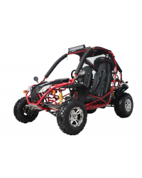 200cc adult Gas Go-kart Deluxe DF GKA with Auto Tranny/Reverse
