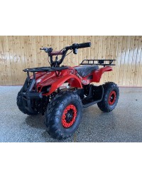 Kids ATV Electric 500W, Powerful Electric Motor, Grizzly Clone with Big Size 16 inch Tire, with Reverse, Alarm, Remote Kill Switch