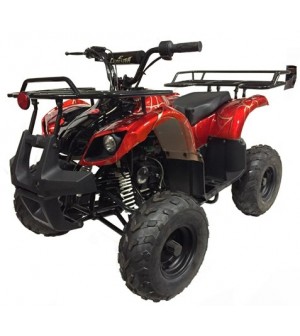 125cc Gas ATV Kids with Utility style rack, Automatic/w Reverse, 16inch Tire, Remote shut off switch