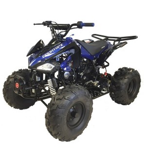 125cc Gas ATV Sport Style, Automatic/w Reverse, Big 18/19inch Tire