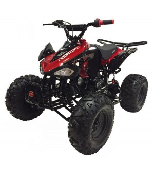 125cc Gas ATV Sport Style, Automatic/w Reverse, Big 18/19inch Tire