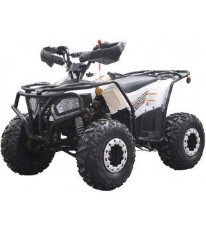 200cc ATV Rhino 200, Kids/Youth/Adult Size,19" Tire, Auto w/Reverse, Full Body Roll Cage, Foot Brake