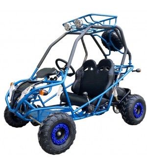 200cc GVA-21 Go Kart, Auto with reverse, High Power Engine, Rear Independent Suspension, Remote Control Shutoff, Spare Wheel 