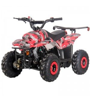 110cc Gas ATV Kids ATV with 6inch wheel, electric start, remote shut off switch