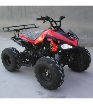 125cc Gas ATV Sport Style, Automatic/w Reverse, Big 18/19inch Tire