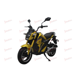 50cc Gas Motorcycle DF SVT with CVT Auto Tranny Single Cylinder 4 Stroke Air-Cooled horizontal type