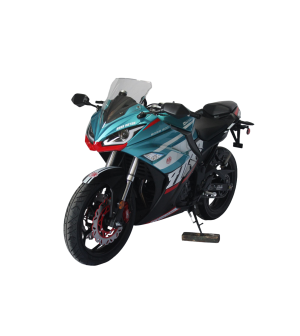 300cc DF300RTS Motorcycle Sports style, gear 6+N, 17" Wheel