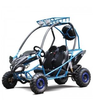 200cc Kids Go Kart Type-GVS, Automatic, Spare Wheel, remote control shutoff