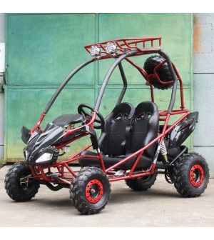 200cc Kids Go Kart Type-GVS, Automatic, Spare Wheel, remote control shutoff