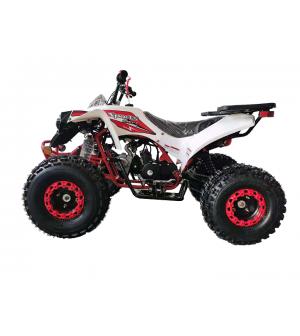 125cc Gas ATV for Kids and Adult, Automatic/w Reverse, Big 18/19inch Tire, Sports Utility Style Body, available in  2 tone color