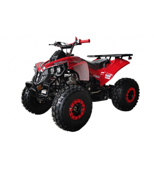 125cc Gas ATV for Kids and Adult, Automatic/w Reverse, Big 18/19inch Tire, Sports Utility Style Body, available in  2 tone color