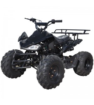 125cc Gas ATV Sport Style, Automatic/w Reverse, Big 18/19inch Tire