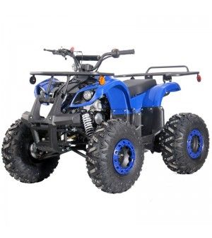 125cc Kids ATV RFP-Grizzly, Kids/Youth Size,19" Tire, Auto w/Reverse, Foot Brake