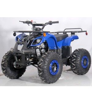 125cc Kids ATV RFP-Grizzly, Kids/Youth Size,19" Tire, Auto w/Reverse, Foot Brake