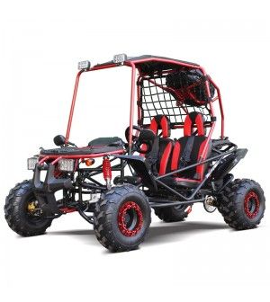 200cc GSX Go Kart, Full Size for Adult and Big Kids, Auto with Reverse, High Power Engine, Spare Wheel