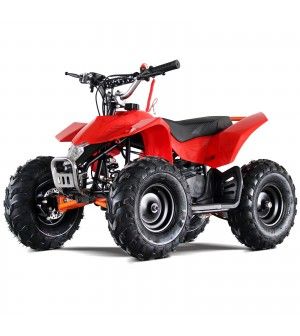 50cc Mini ATV Speed Star High Power Two-Stroke with Big Size 14.5 Inch Real Off Road Tire, front and rear coil suspension