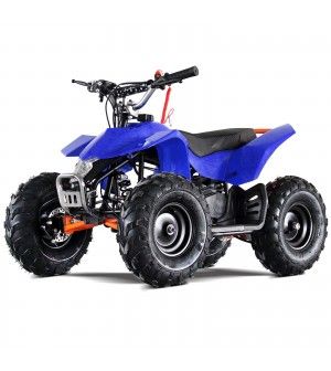 50cc Mini ATV Speed Star High Power Two-Stroke with Big Size 14.5 Inch Real Off Road Tire, front and rear coil suspension