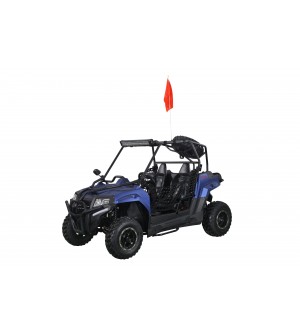 200cc DF Full Adult Gas UTV Go-Kart Side By Side With Auto Tranny W/ Reverse