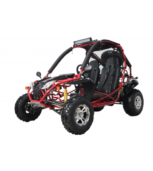 200cc adult Gas Go-kart Deluxe DF GKA with Auto Tranny/Reverse