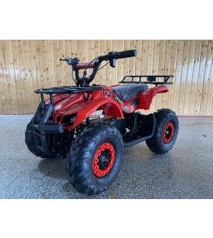 Kids ATV Electric 500W, Powerful Electric Motor, Grizzly Clone with Big Size 16 inch Tire, with Reverse, Alarm, Remote Kill Switch