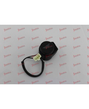 flasher relay for 150cc 200cc Motor