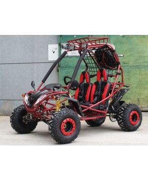 200cc GSA Go Kart, Full Size for Adult and Big Kids, Auto with reverse, High Power Engine, Electric/Pull Start, Big Wheel, Spare Wheel 