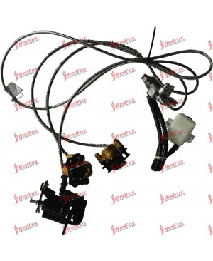 Front and Rear Disc Brake Assembly