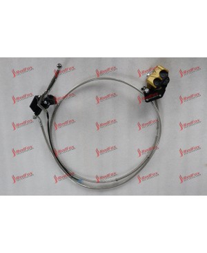 Rear disc brake assy 