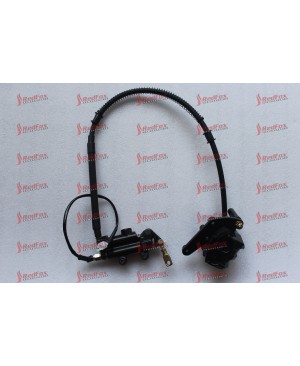 Rear Disc Brake ASSY