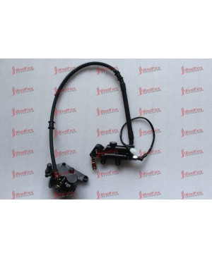 Rear Disc Brake ASSY