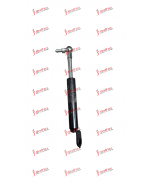 Pneumatic expansion element 