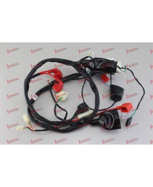 Main Cable