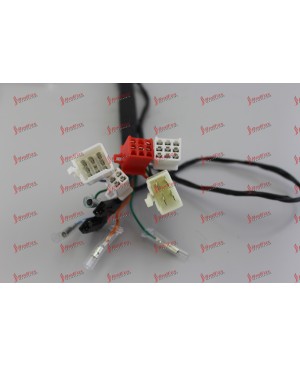 Main Cable