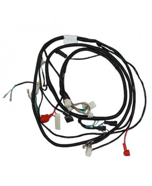 Main Wire Harness