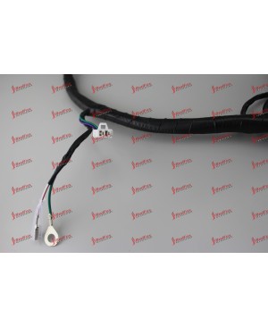 Wire Harness