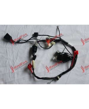 Harness