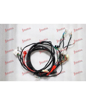 Main Cable