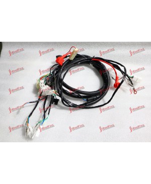 Main Cable