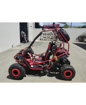 200cc GSA Go Kart, Full Size for Adult and Big Kids, Auto with reverse, High Power Engine, Electric/Pull Start, Big Wheel, Spare Wheel (Brand New, Ready to Ride)
