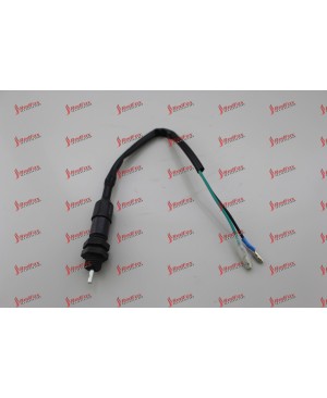 Rear Brake Switch